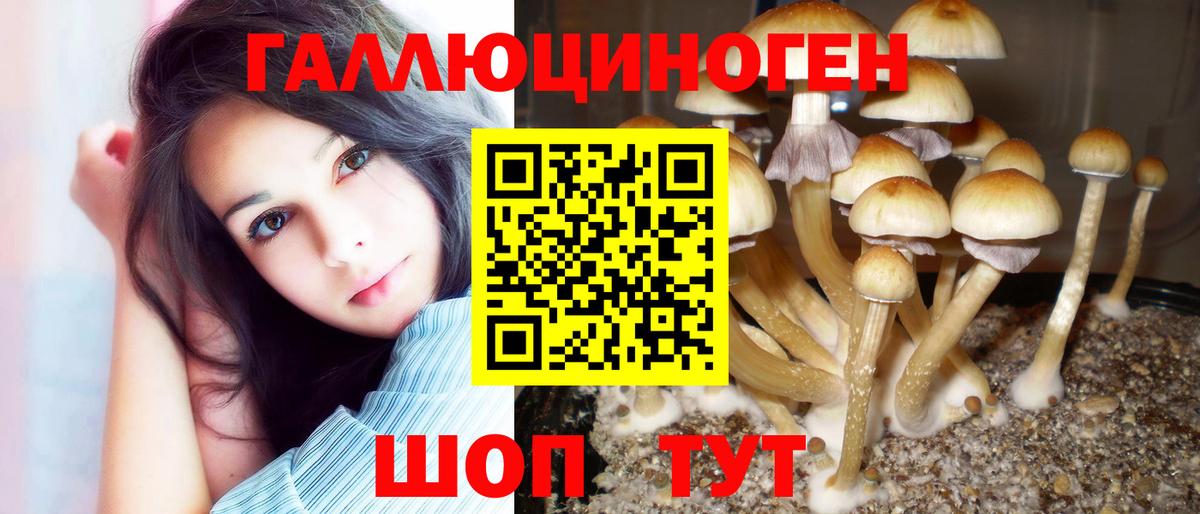 Псилоцибиновые грибы мухоморы  Вход с VPN  Долгопрудный 