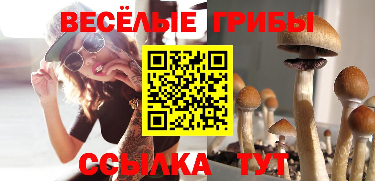 Галлюциногенные грибы мицелий Долгопрудный
